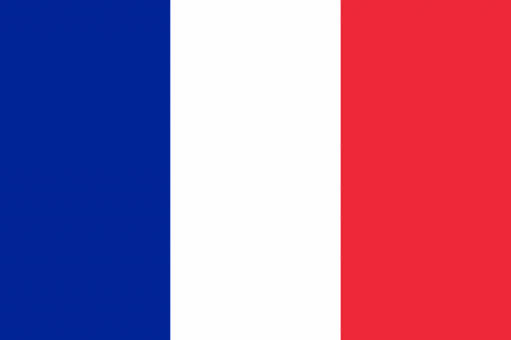 flaga France
